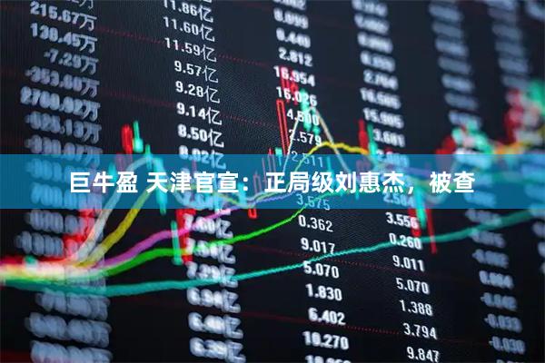 巨牛盈 天津官宣：正局级刘惠杰，被查
