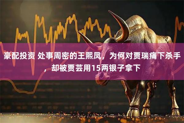 豪配投资 处事周密的王熙凤，为何对贾瑞痛下杀手，却被贾芸用15两银子拿下