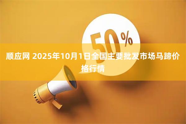 顺应网 2025年10月1日全国主要批发市场马蹄价格行情