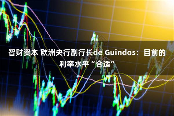 智财资本 欧洲央行副行长de Guindos：目前的利率水平“合适”