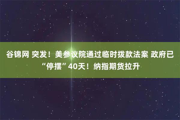 谷锦网 突发！美参议院通过临时拨款法案 政府已“停摆”40天！纳指期货拉升