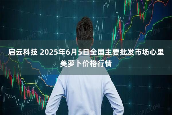 启云科技 2025年6月5日全国主要批发市场心里美萝卜价格行情