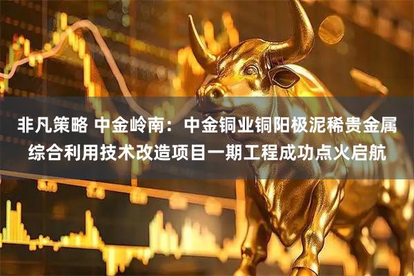 非凡策略 中金岭南：中金铜业铜阳极泥稀贵金属综合利用技术改造项目一期工程成功点火启航
