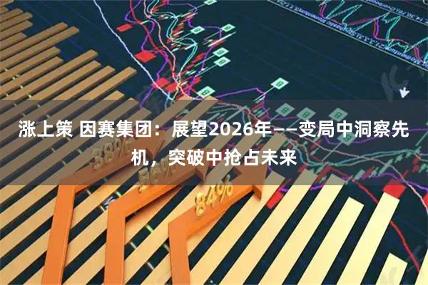 涨上策 因赛集团：展望2026年——变局中洞察先机，突破中抢占未来